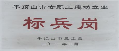 平顶山市女职工建功立业标兵岗